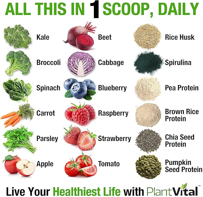 Plantvital Unflavored Organic Vegan Protein Powder - 18 Superfoods, Veggies and Probiotics - Organic Plant-Based Protein Powder - All BCAAβs, Gluten Free - 16oz -1 Pouch