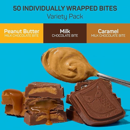 AWAKE - Caffeinated Chocolate Bites - Coffee Alternative - 50mg Caffeine - Energy Bars - Low-Calorie Snacks - Peanut Butter, Milk & Caramel Holiday Variety Pack - 50 Bites