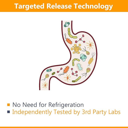 NewRhythm Probiotics 50 Billion CFU 20 Strains, 120 Veggie Capsules, Targeted Release Technology, Stomach Acid Resistant, No Need for Refrigeration, Non-GMO, Gluten Free
