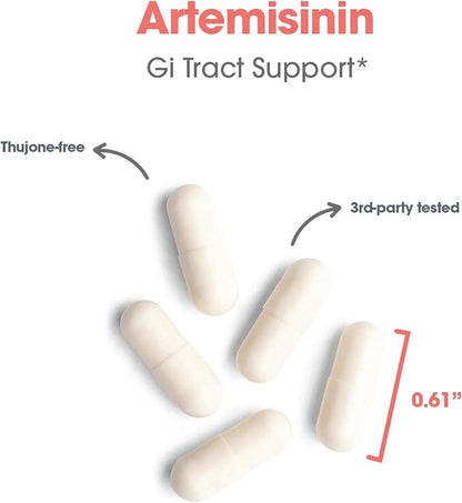 Allergy Research Group Artemisinin Supplement - GI Tract Support, Pure Qinghaosu from Artemisia annua, Thujone-Free, Hypoallergenic, Vegetarian Capsules - 300 Count