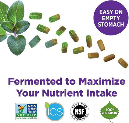 New Chapter Men's Multivitamin, Every Man's One Daily 40+, Fermented with Probiotics + Saw Palmetto + B Vitamins + Vitamin D3 + Organic Non-GMO Ingredients - 24 Count
