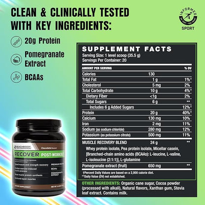 BODi Recover Whey Protein Powder Blend– Post-Workout Chocolate Whey Supplement for Muscle Recovery with 20g Protein, BCAAs, Pomegranate Extract - Fast Recovery - 20 Serving Tub