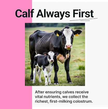 Cowabunga Colostrum - Premium, Pure & Unaltered Colostrum Powder Supplement - for Immune Support, Gut Health, Muscle Recovery & Wellness - Kosher & Halal Certified Calostro