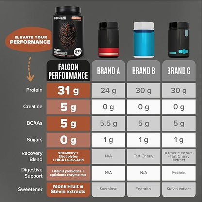 Birdman Falcon Performance Vegan Protein Powder, 31g Protein, 5g Creatine, 5g BCAA, Probiotics, Electrolytes, Pre Workout, Low Carb, Sugar Free & Dairy Free, Plant Based Chocolate Protein -19 servings