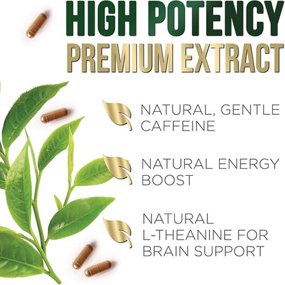 Green Tea Extract Capsules 1000mg 98% Standardized EGCG - 3X Strength for Natural Energy - Heart Support with Polyphenols - Gentle Caffeine - 120 Capsules