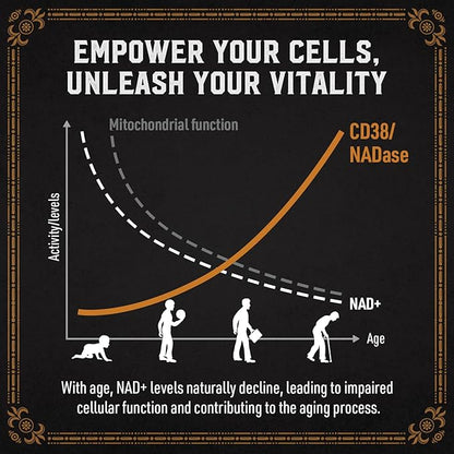 1800 MG Liposomal NAD Supplement, NAD+ Supplement Similar to Nicotinamide Riboside, 98% Pure NAD Plus Supplement for Energy Booster & Cellular Repair for Men & Women, Non-GMO, 120 Softgels