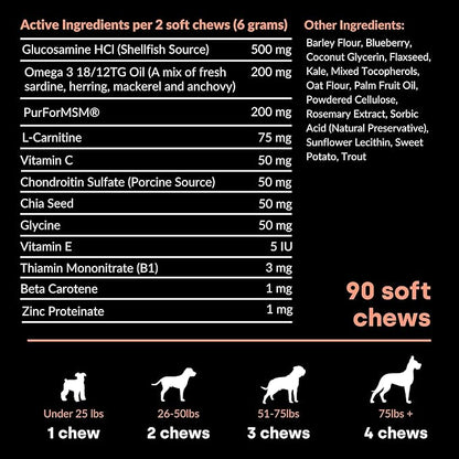 Joint & Recovery | 2-in-1 Joint & Muscle Chews. Joint Support Supplement for Dogs. Helps with Arthritis or Prevention from Hip & Joint Pain. for All Life Stages. Tasty Trout Flavor.