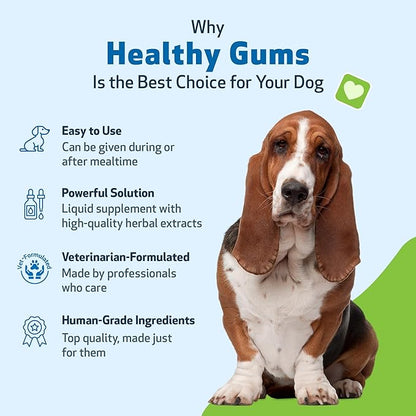 Pet Wellbeing - Healthy Gums for Dogs - Natural Supplement for Healthy Gums, Teeth and Breath Against Dog Gingivitis - 2oz (59ml).