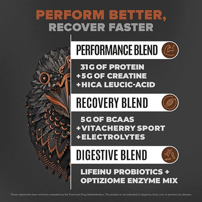 Birdman Falcon Performance Vegan Protein Powder, 31g Protein, 5g Creatine, 5g BCAA, Probiotics, Electrolytes, Pre Workout, Low Carb, Sugar Free & Dairy Free, Plant Based Chocolate Protein, 28 servings