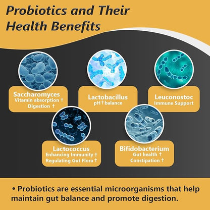 Probiotics with Prebiotics for Men and Women - 35 Strains Organic Probiotic 100 Billion CFU for Gut & Digestive Health, Vegan Acidophilus Probiotic Supplement, Non-GMO Raw Probiotic 120 Capsules