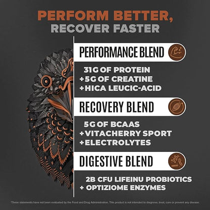 Birdman Falcon Performance Vegan Protein Powder, 31g Protein, 5g Creatine, 5g BCAA, Probiotics, Electrolytes, Pre Workout, Low Carb, Sugar Free & Dairy Free, Plant Based Chocolate Protein -19 servings