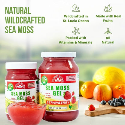 Wildcrafted Irish Sea Moss Gel | Made in USA | Rich in Vitamins & Minerals | Sea Moss Gel Raw | Nutritional Supplement | Strawberry (16 oz)