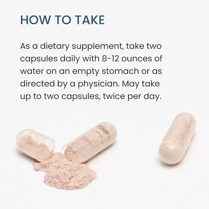 The Wellness Company Spike Support | 120 ct (2 Month Supply) | with Nattokinase, A Proteolytic Enzyme for Fibrinolytic (Anti-Clotting) | Non-GMO, Vegan, Gluten Free | for Year-Round Immune Support