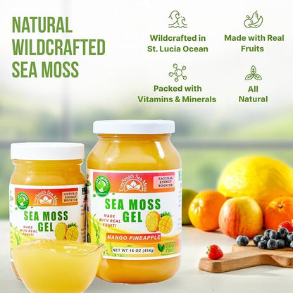 Wildcrafted Irish Sea Moss Gel | Made in USA | Rich in Vitamins & Minerals | Sea Moss Gel Raw | Nutritional Supplement | Mango Pineapple (16 oz)