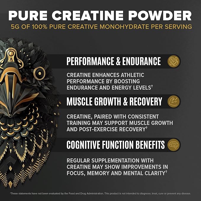 BIRDMAN Falcon Performance Vegan Protein Powder, 31g Protein, 5g Creatine, 5g BCAA, Probiotics, Electrolytes, Pre Workout, Low Carb, Sugar Free & Dairy Free, Plant Based Vanilla Protein, 30 Servings