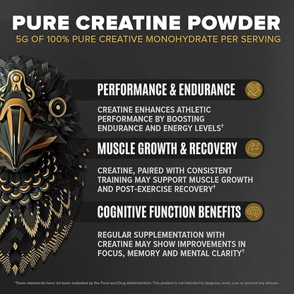 BIRDMAN Falcon Performance Vegan Protein Powder, 31g Protein, 5g Creatine, 5g BCAA, Probiotics, Electrolytes, Pre Workout, Low Carb, Sugar Free & Dairy Free, Plant Based Vanilla Protein, 30 Servings