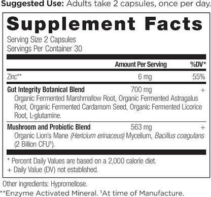 Gut Health Supplement by Ancient Nutrition Leaky Gut Capsules, 60ctFormulated with Licorice Root, Astragalus, Marshmallow, and L-Glutamine, Gluten Free, Paleo and Keto Friendly, 60 Ct