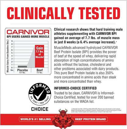 MuscleMeds CARNIVOR Beef Protein Isolate Powder, Muscle Building, Recovery, Lactose Free, Sugar Free, Fat, Free, 23g Protein, Halal Certified, Chocolate, 28 Servings