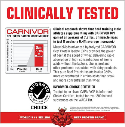 MuscleMeds CARNIVOR Beef Protein Isolate Powder, Muscle Building, Recovery, Lactose Free, Sugar Free, Fat, Free, 23g Protein, Halal Certified, Chocolate, 56 Servings