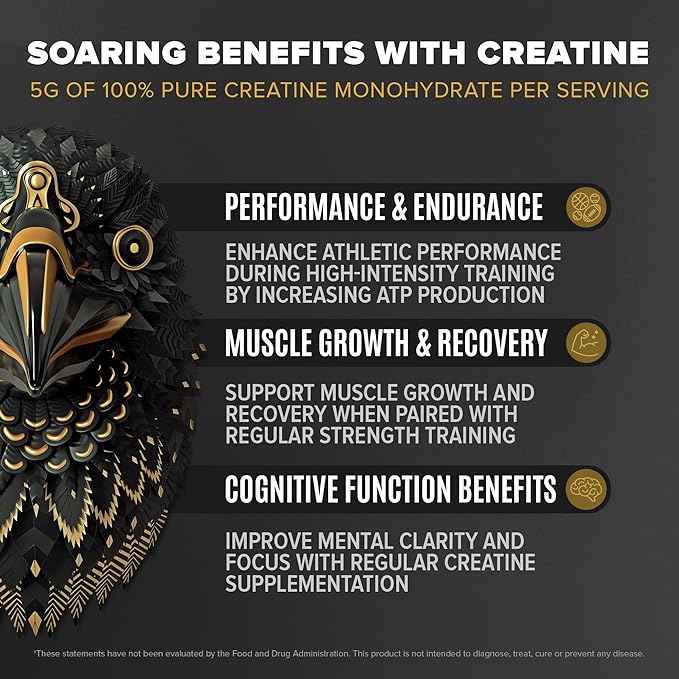 BIRDMAN Falcon Performance Vegan Protein Powder, 31g Protein, 5g Creatine, 5g BCAA, Probiotics, Electrolytes, Pre Workout, Low Carb, Sugar Free & Dairy Free, Plant Based Vanilla Protein -19 Servings