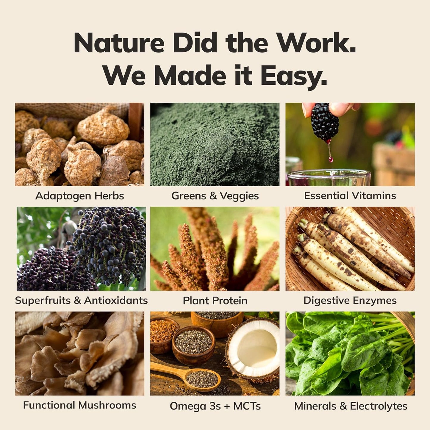 Ka’Chava All-In-One Nutrition Shake Blend, Chocolate, 15 Servings, 85+ Superfoods & Nutrients, Greens Plant-Based Powder Protein Drink, Digestive Enzymes & Probiotics, Vegan Dairy Gluten Free