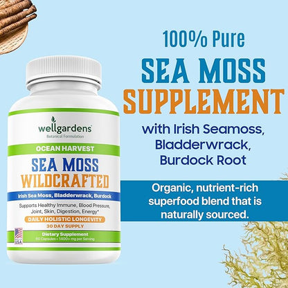 100% Pure Sea Moss, Organic Superfood - Irish Seamoss, Bladderwrack, Burdock Root - Supports Healthy Immune, Blood Pressure, Joint, Skin, Digestion, Energy - 60 Sea Moss Capsules