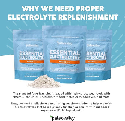 Paleovalley Essential Electrolytes Powder - Full Spectrum Orange Electrolyte Powder for Hydration, Energy and Muscle Recovery - No Sugar Added - 28 Servings