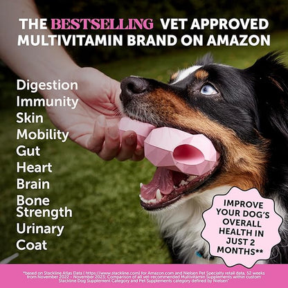 Pet Honesty Multivitamin Dog Supplement, Glucosamine Chondroitin for Dogs, Probiotics, Omega Fish Oil, Dog Supplements & Vitamins, Dog Vitamins for Skin and Coat Allergies, (Chicken 90 ct)
