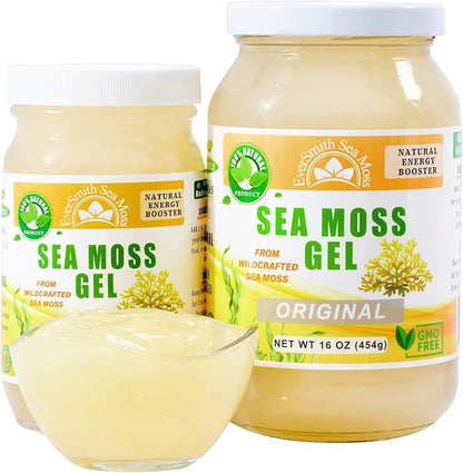 Wildcrafted Irish Sea Moss Gel | Made in USA | Rich in Vitamins & Minerals | Sea Moss Gel Raw | Nutritional Supplement (16 oz) (Unflavored)