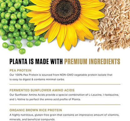 Ambrosia Planta - Premium Organic Plant-Based Protein | Vegan & Keto Friendly | Gourmet Flavors with No Bloating or Stomach Upset | Gluten & Soy Free | No Added Sugar | 25 Servings | Banana Maple