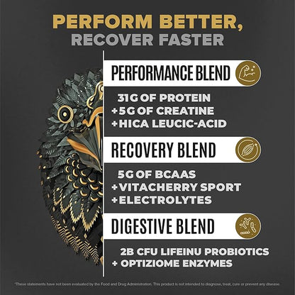BIRDMAN Falcon Performance Vegan Protein Powder, 31g Protein, 5g Creatine, 5g BCAA, Probiotics, Electrolytes, Pre Workout, Low Carb, Sugar Free & Dairy Free, Plant Based Vanilla Protein -19 Servings