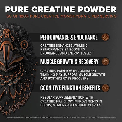 Birdman Falcon Performance Vegan Protein Powder, 31g Protein, 5g Creatine, 5g BCAA, Probiotics, Electrolytes, Pre Workout, Low Carb, Sugar Free & Dairy Free, Plant Based Chocolate Protein, 28 servings