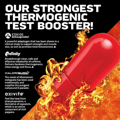 MuscleTech AlphaTest Thermo XTR Thermogenic Testosterone Booster| Muscle & Strength Builder for Men | Workout Supplement | 90 Capsules | 30 Servings